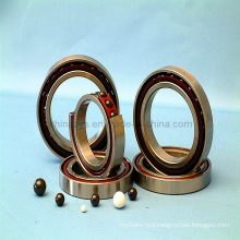 Zys High Quality Bearing 608 Ceramic Bearing 608 2RS1